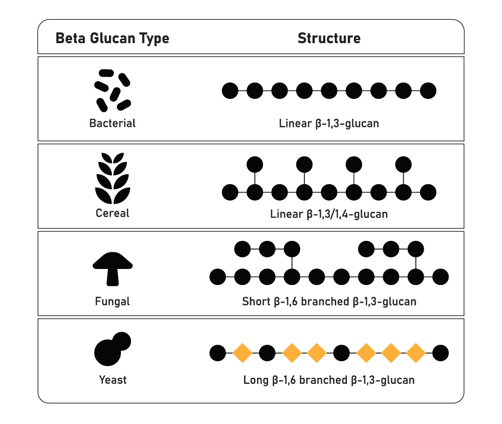 Examples of Beta-glucan structures from oats, mushrooms, bacteria, and yeast for different benefits for skin care