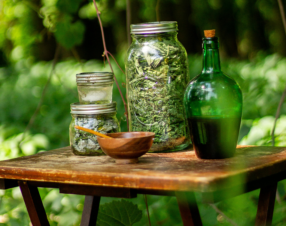 Gotu Kola is a tri-doshic herb and balances vata, pitta, and kapha in Ayurvedic medicine